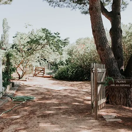 Casa dos Picates - Country House
