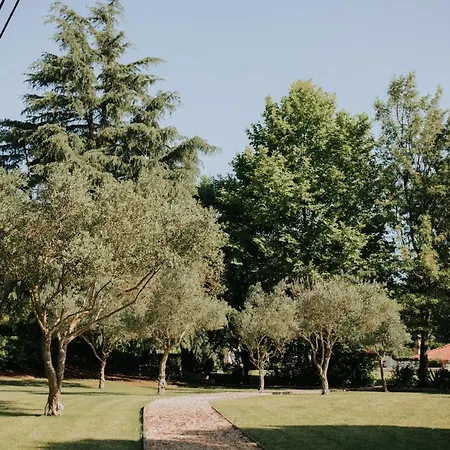 度假居 Casa Dos Picates - Country House *